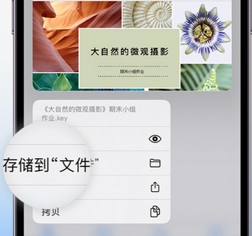 山丹apple维修中心分享iPhone文件应用中存储和找到下载文件