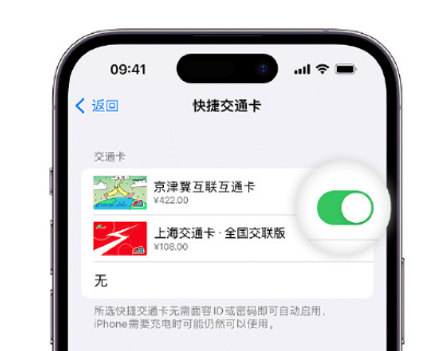 山丹apple维修点分享iPhone上更换Apple Pay快捷交通卡手绘卡面 