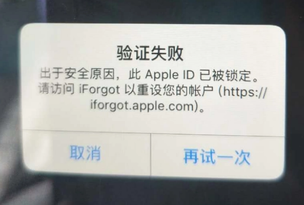 山丹iPhone维修分享iPhone上正常登录或使用AppleID怎么办 