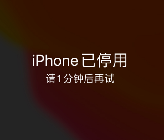 山丹苹果手机维修分享:iPhone 显示“不可用”或“已停用”怎么办？还能保留数据吗？ 