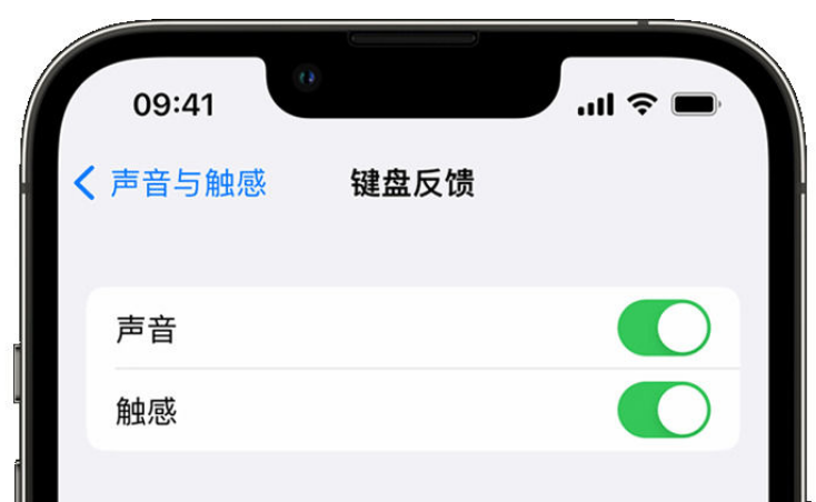 山丹苹果手机维修分享iPhone 14触感键盘使用方法 