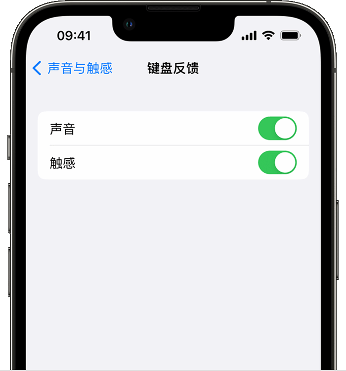 山丹苹果14维修店分享如何在 iPhone 14 机型中使用触感键盘 