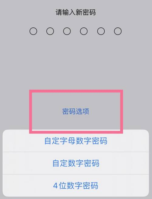 山丹苹果14维修分享iPhone 14plus设置密码的方法 