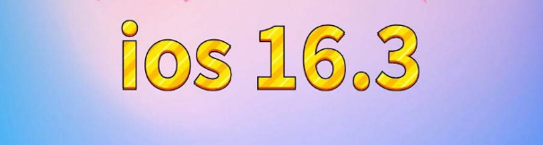 山丹苹果服务网点分享苹果iOS16.3升级反馈汇总 