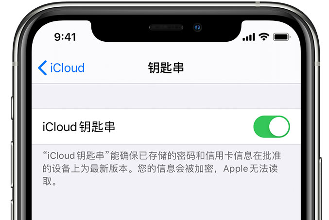 山丹苹果手机维修分享在 iPhone 上开启 iCloud 钥匙串之后会储存哪些信息 